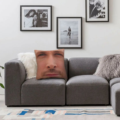 Gosling Dream Pillow Cover