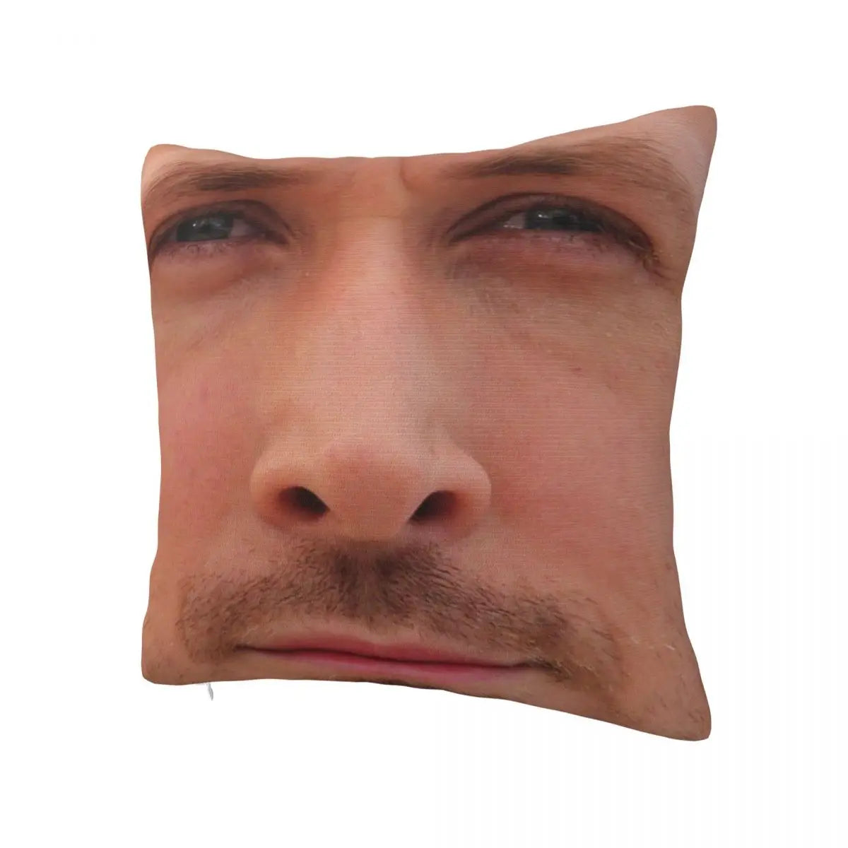 Gosling Dream Pillow Cover